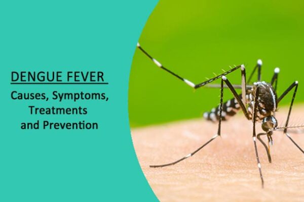 Dengue Fever: Causes, Symptoms, Treatments and Prevention