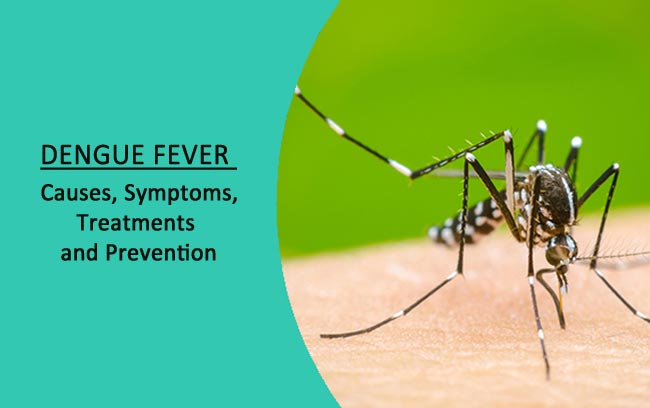 Dengue Fever: Causes, Symptoms, Treatments and Prevention